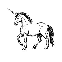 Obraz premium Vector art of a majestic unicorn, a mythical creature with a single horn on its forehead, depicted in a detailed black and white illustration