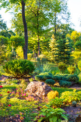 Vibrant garden in sunny afternoon light. Bright garden filled with lush greenery and colorful flowers under warm sunlight during a tranquil afternoon. Modern landscape design