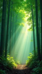 Obraz premium Serene bamboo forest bathed in morning mist, sunlight filtering through leaves creating a mystical atmosphere Perfect for meditation, tranquility, and zen themes , green, china, tranquil