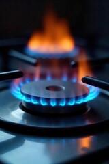 Close-up of a gas stovetop igniting, flames licking up the burner as it starts to heat A blue flame dances within the metal rings, ready for cooking , apparatus, fire
