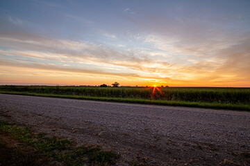 Field and Road at Dawn