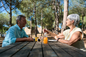 Happy senior couple enjoying picnic in nature