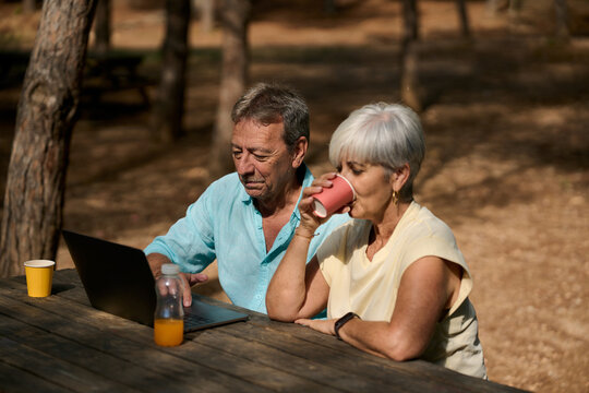 Senior couple using laptop and drinking in the park - Powered by Adobe