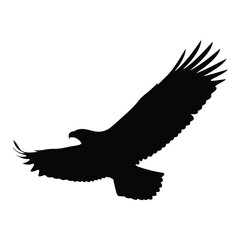 Silhouette of an eagle in flight against a white background