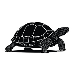 Black and white illustration of a turtle walking on a plain background