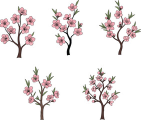 Fototapeta premium Cherry blossom branch illustrations, pink spring flowers, delicate floral art, botanical drawing, blooming branches, nature sketches, seasonal flower designs, garden blossoms.