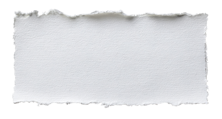 A rectangular piece of ripped white paper