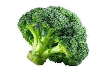 Fresh broccoli head, vibrant green (8)