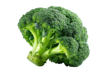 Fresh broccoli head, vibrant green (8)