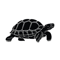 Black silhouette of a turtle walking on a white background