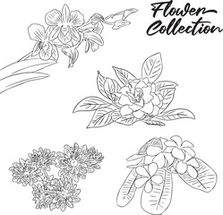 Illustration flower hand drawn backgound