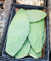 Nopales cactus, pickly pear