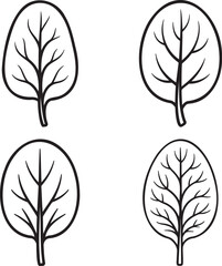 Obraz premium Set of Spinach Outline vector illustration isolated On Transparent Background