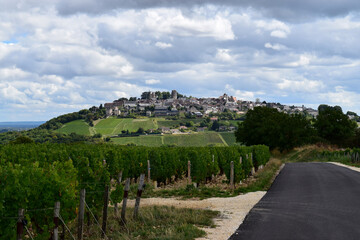 View of village of Sancerre in the distance, with vineyards (calcite soil) in foreground. Sancerre,...