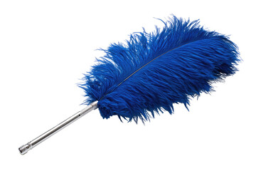 Vibrant blue ostrich feather on a metallic shaft