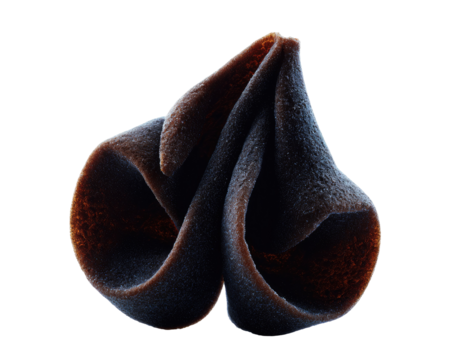 Close-up of a dark, intricately folded organic form