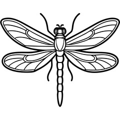 Dragonfly Wings Outlined Vector