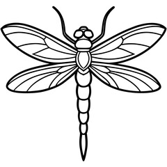 Dragonfly Wings Outlined Vector