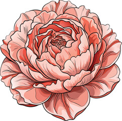 Obraz premium Spooky Peony Halloween Coral Peony Flower Bloom