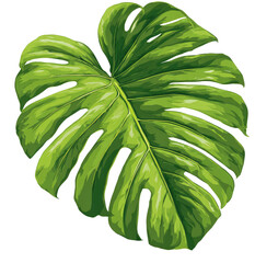 Vibrant green tropical leaf, deeply veined and serrated