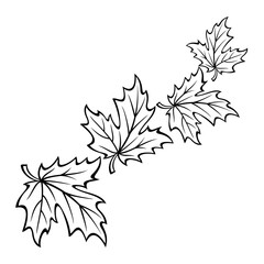 Black Line Maple Leaves Illustration Icon