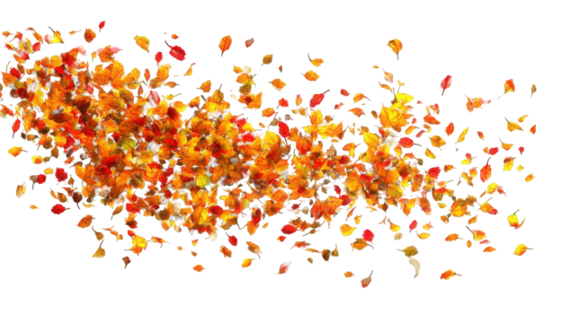 Autumn leaves explosion on black background (1)