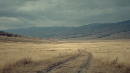 A vast grassy desert landscape under a cloudy sky features rolling hills and a dirt road leading into the distance,