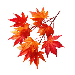 Vibrant autumnal maple leaves clustered in a heart shape, detailed and colorful against a black backdrop