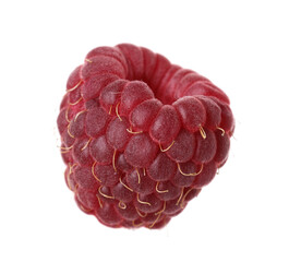 One fresh ripe raspberry isolated on white
