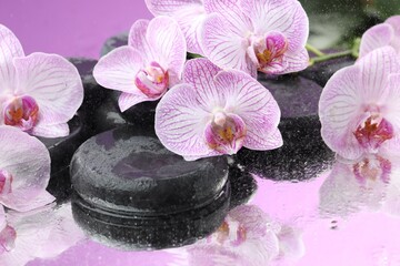 Beautiful orchid flowers, water drops and spa stones on mirror surface, closeup