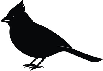 cardinal silhouette line art vector illustration