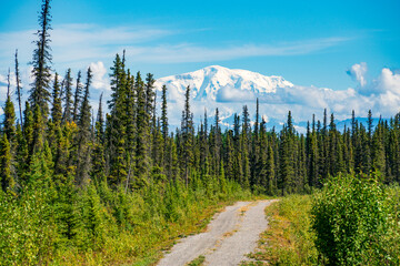 Massive Mt Blackburn over the forest and unpaved road