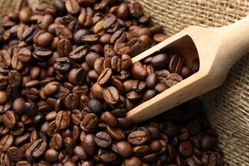 Aromatic coffee beans and scoop in burlap bag, closeup