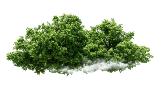 Lush green trees atop a fluffy white cloud