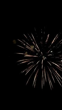 Colorful festive fireworks explode against the black sky. The sky lights up with fireworks. High quality 4k footage.