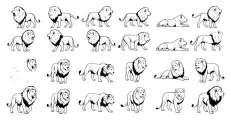 Vector art of collection of lion silhouettes for wildlife and safari themed designs