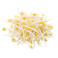 Fresh Mung Bean Sprouts Nutritional Powerhouse for Healthy Eating