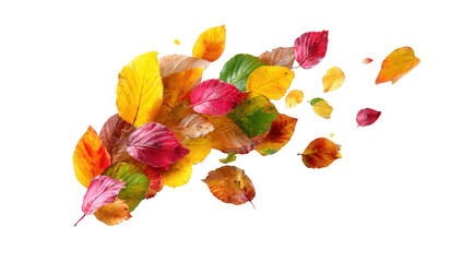 Autumn leaves swirling against black background