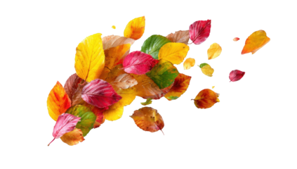 Autumn leaves swirling against black background