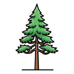 Green pine tree with brown trunk and branches isolated on white background evergreen conifer