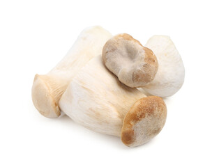 Fresh raw eryngii mushrooms isolated on white