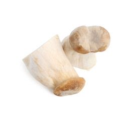Fresh raw eryngii mushrooms isolated on white, top view