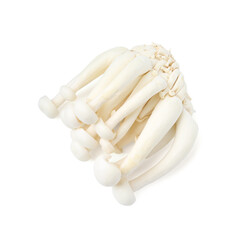 Cluster of fresh shimeji mushrooms isolated on white, top view