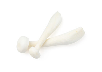 Fresh shimeji mushrooms isolated on white, top view