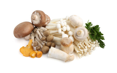 Different raw mushrooms and parsley isolated on white