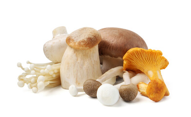 Collection of different raw mushrooms isolated on white