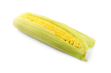 One tasty boiled corncob isolated on white