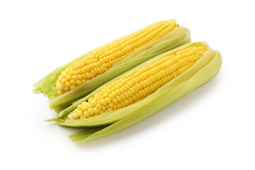 Two tasty boiled corncobs isolated on white