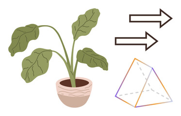 Potted plant with large leaves, two right-facing arrows, and a colorful outlined pyramid. Ideal for nature, growth, direction, geometry, minimalism education and environment. Simple flat metaphor