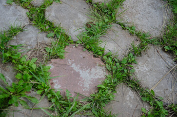 Background of paving slabs overgrown with grass in the city or garden